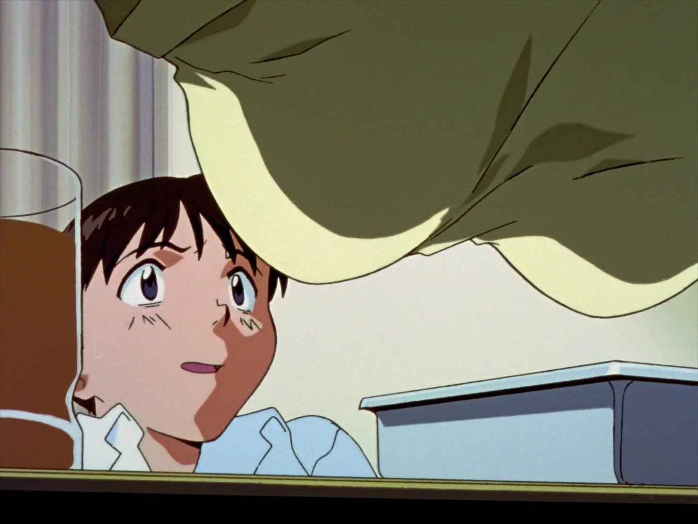 🦋 미사토 호타루칸 (美郷ほたる館) 이미지 6